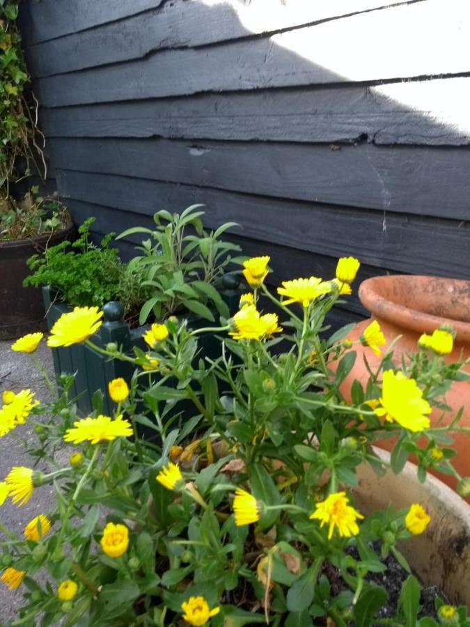 Cosy, Dog Friendly House On The Fringe Of The Brecon Beacons Villa Tredegar Dış mekan fotoğraf